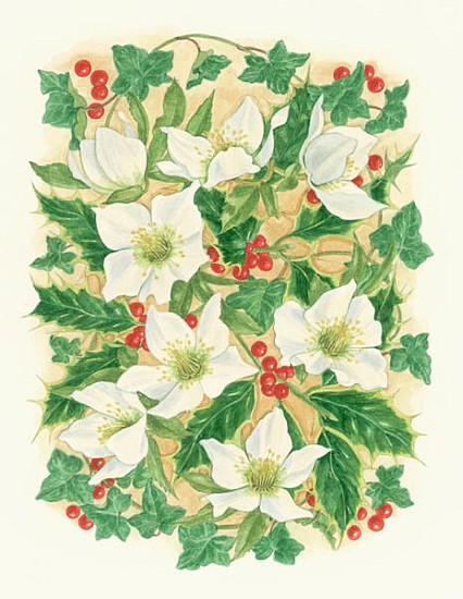 Christmas Roses, 1997 (w/c on paper)  à Linda  Benton