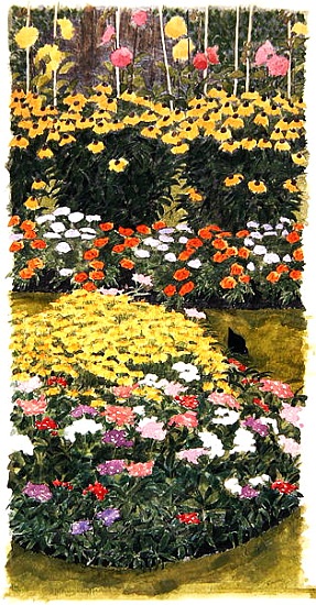 Flower border and blackbird à Linda  Benton