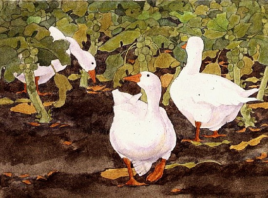 Geese in the Sprouts à Linda  Benton