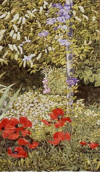 Poppies and flowering Clematis  à Linda  Benton