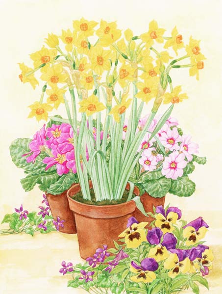 Pots of Spring Flowers, 2003 (w/c on paper)  à Linda  Benton