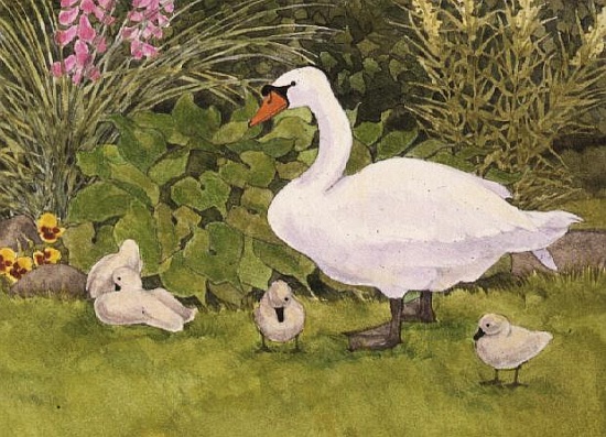 Swan and Cygnets à Linda  Benton