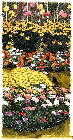 Flower border and blackbird