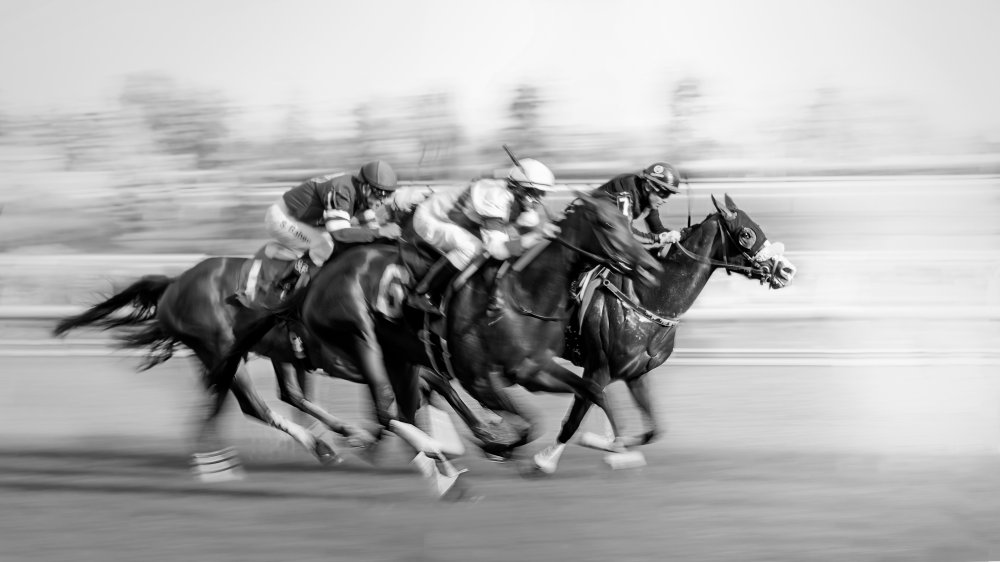 Horse Racing @ Queens Plate à little7