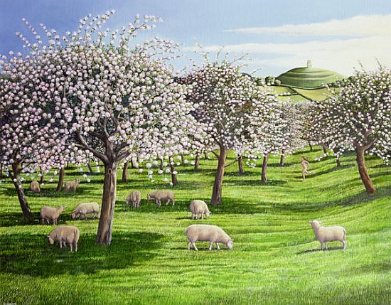 Celebration of Apple Blossom in Somerset, 2004 (oil on canvas)  à Liz  Wright