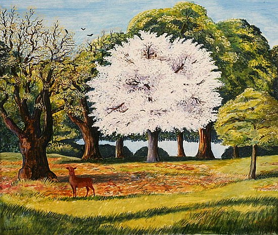 Cherry Blossom and Deer, 1995 (acrylic on paper)  à Liz  Wright