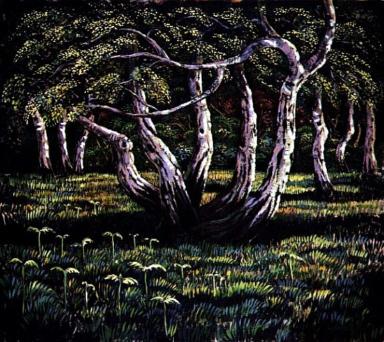 Silver Birch Trees, 1988  à Liz  Wright