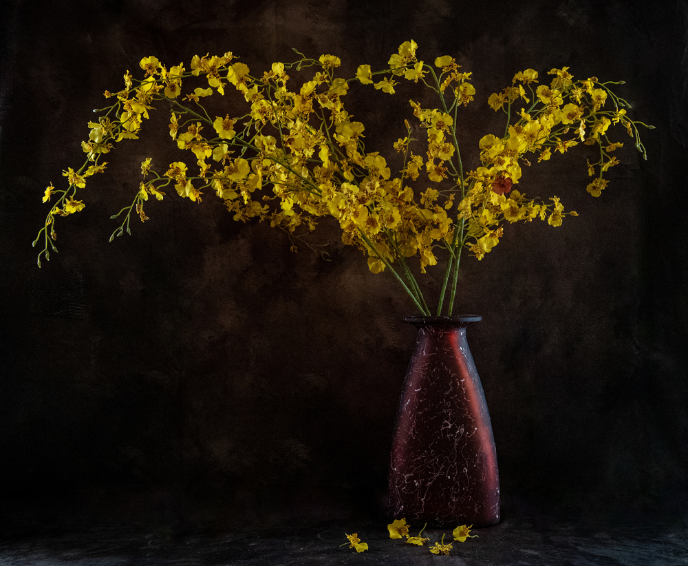 Yellow flowers à LM Meng