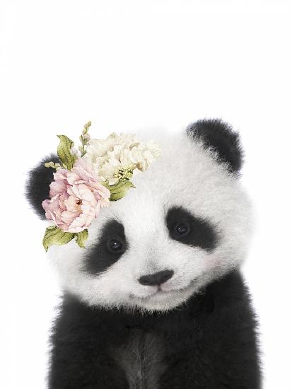 Floral Baby Panda