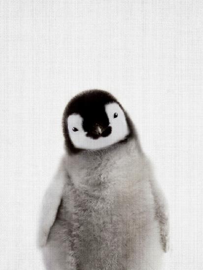 Peekaboo Baby Penguin