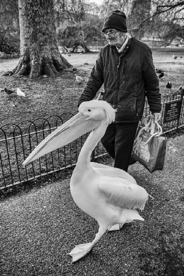 A man and his pet