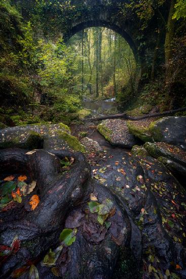 The Gates of Autumn