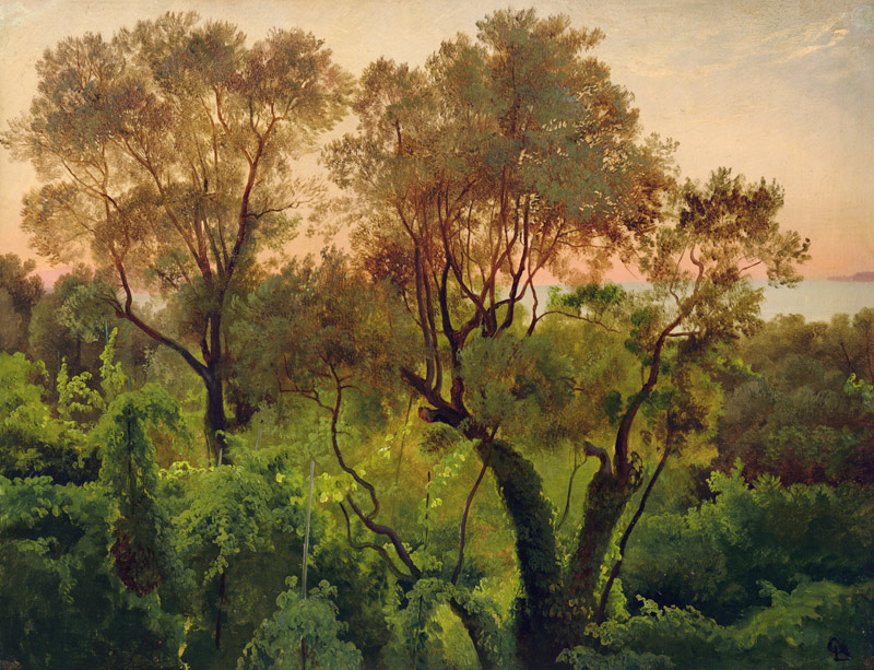 Slope with Olive Trees à Louis Gurlitt