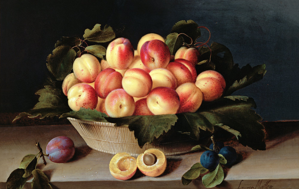 Basket of Apricots à Louise Moillon