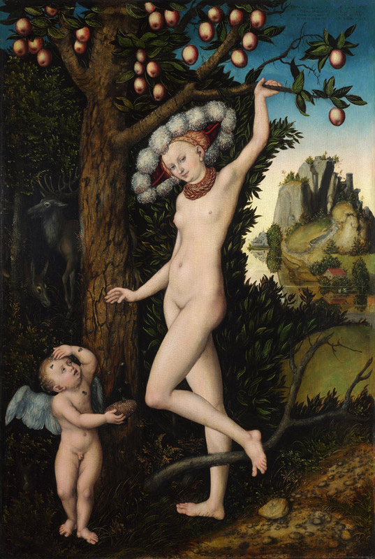 Cupid complaining to Venus à Lucas Cranach l'Ancien