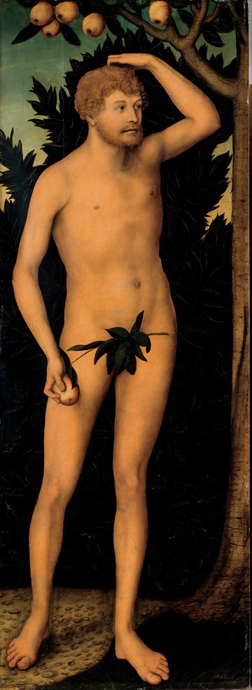 Adam à Lucas Cranach l'Ancien