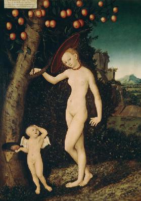 Venus et Amor en tant que voleur de miel