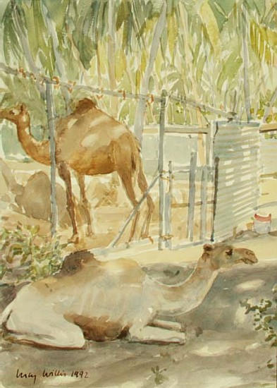 Camels at Rest, Salala (Oman) 1992 (w/c)  à Lucy Willis