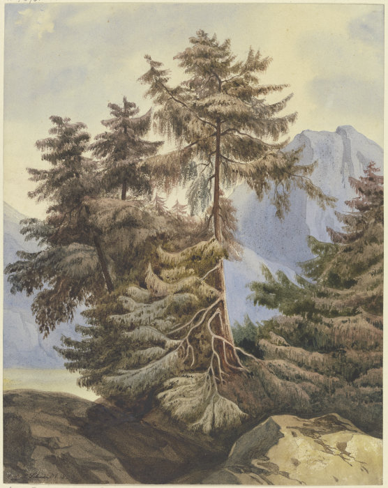 Three fir trees in the mountains à Ludwig Daniel Philipp Schmidt