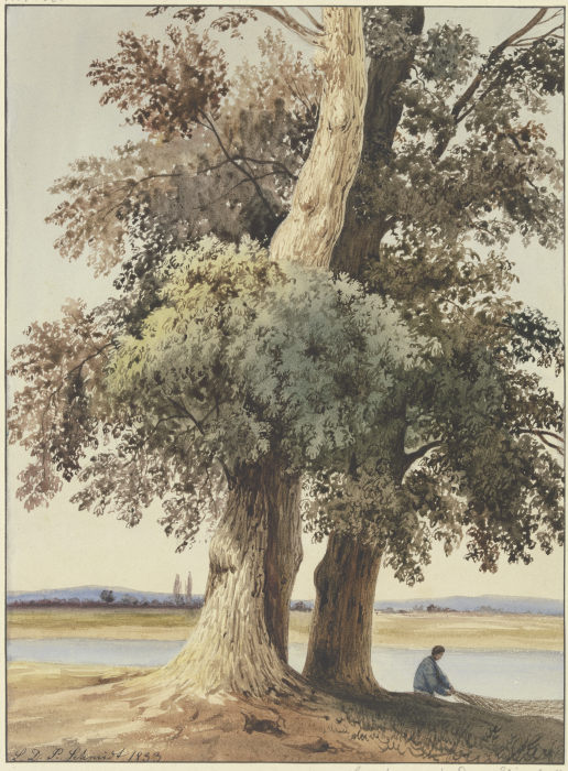 Two trees on the river à Ludwig Daniel Philipp Schmidt
