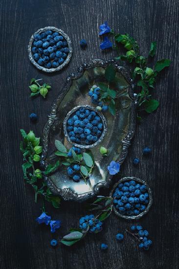 U pick blueberries