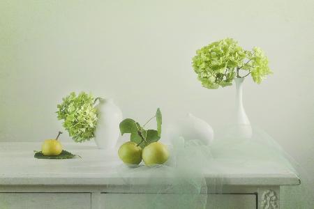 Green hydrangea and pear