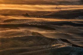 Misty Farmland