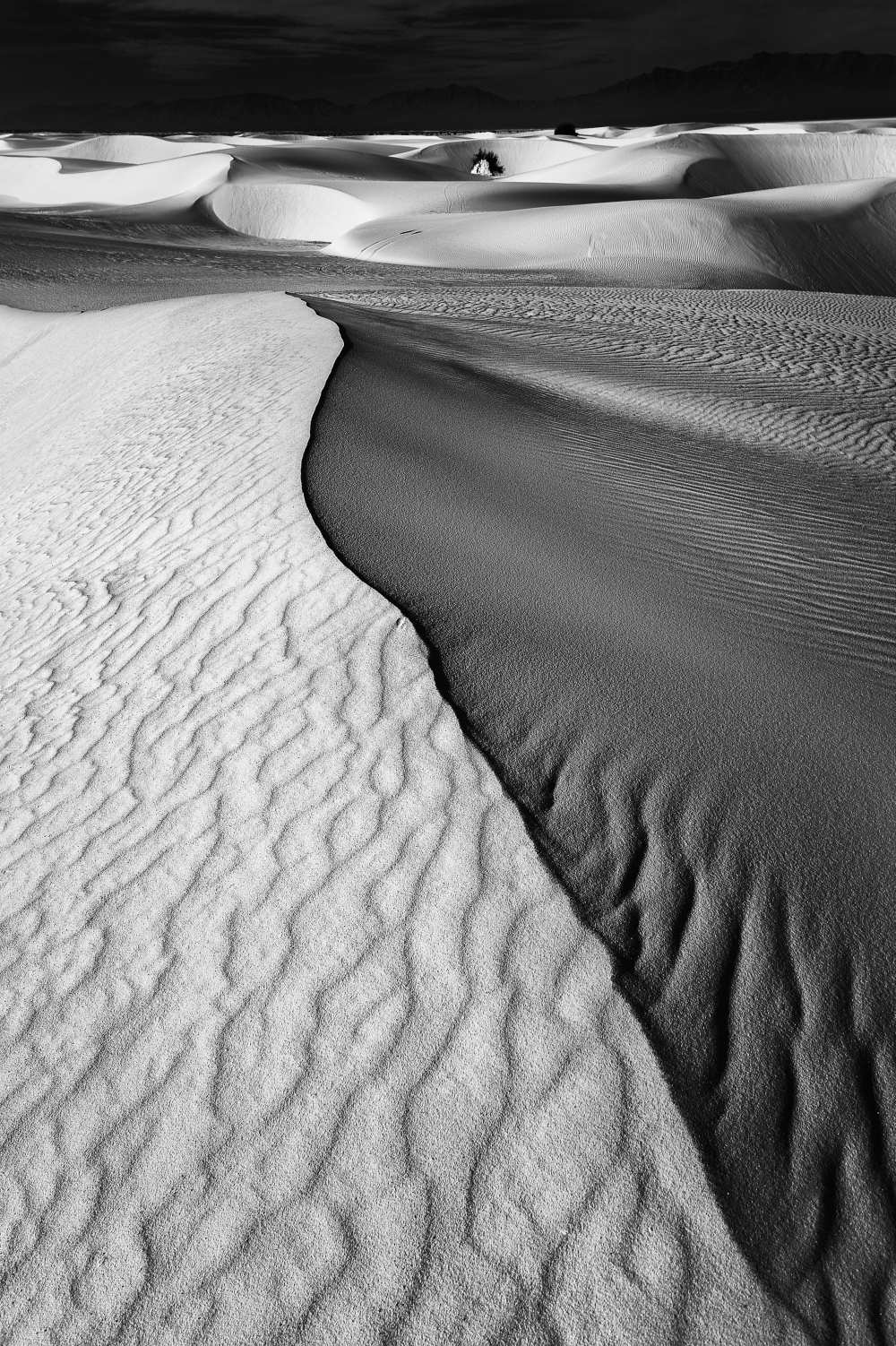 Sand Waves à Lydia Jacobs