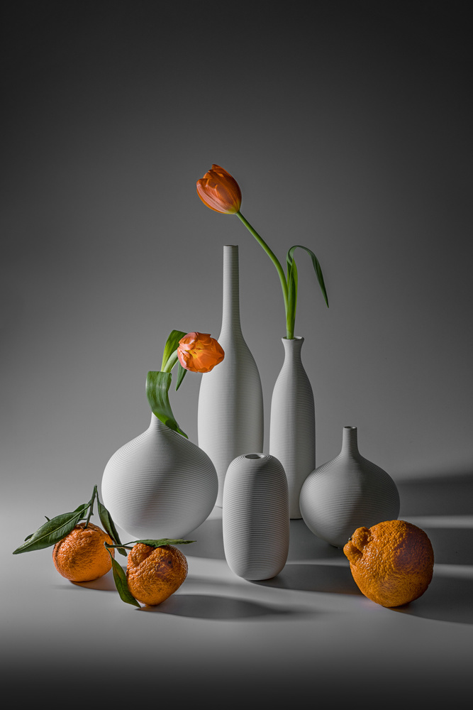 Tulip and Mandarin Orange à Lydia Jacobs