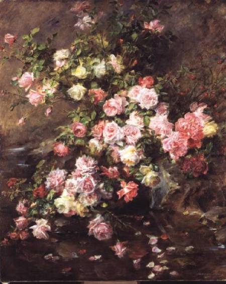 Roses à Madeleine Lemaire