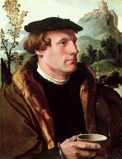 Portrait of a Gentleman à Maerten van Heemskerck