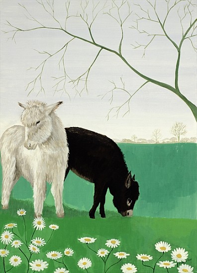Donkeys and Daisies à  Maggie  Rowe