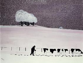 Cows in a snowstorm 