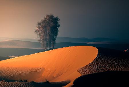 ALQUDRA DESERT