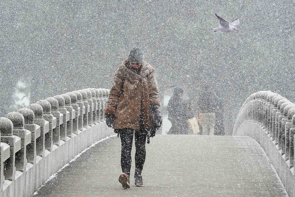 Snowstorm Bridge à Makoto Hamasaki