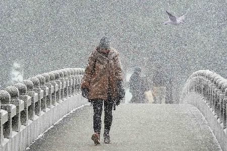 Snowstorm Bridge