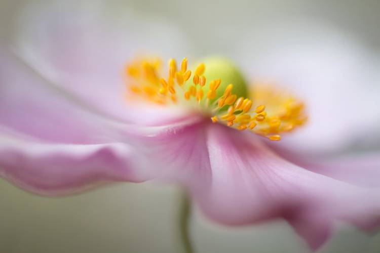 Untitled à Mandy Disher