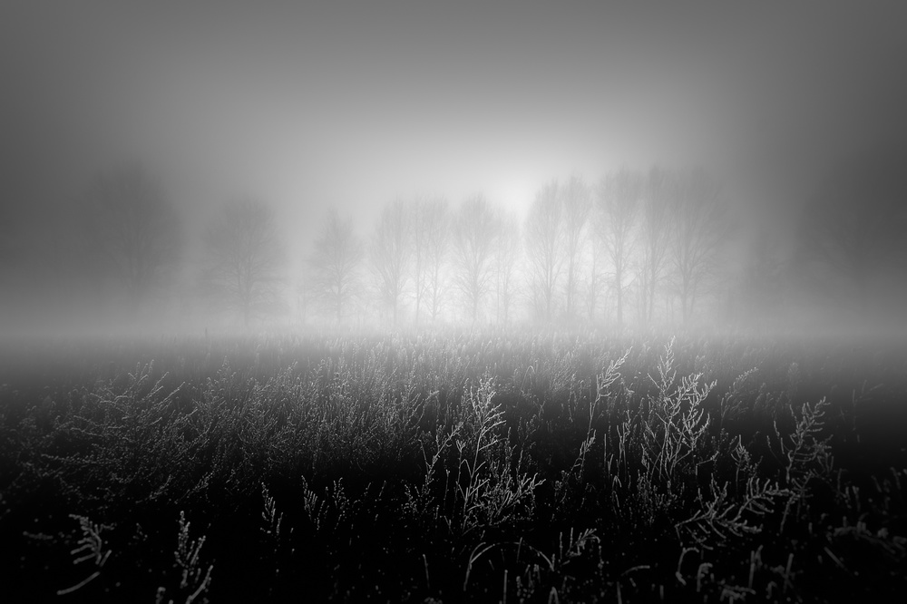 Misty row à Marc Huybrighs