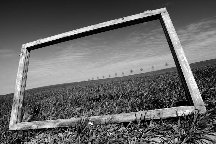 A view through the window à Marcin Delektowski