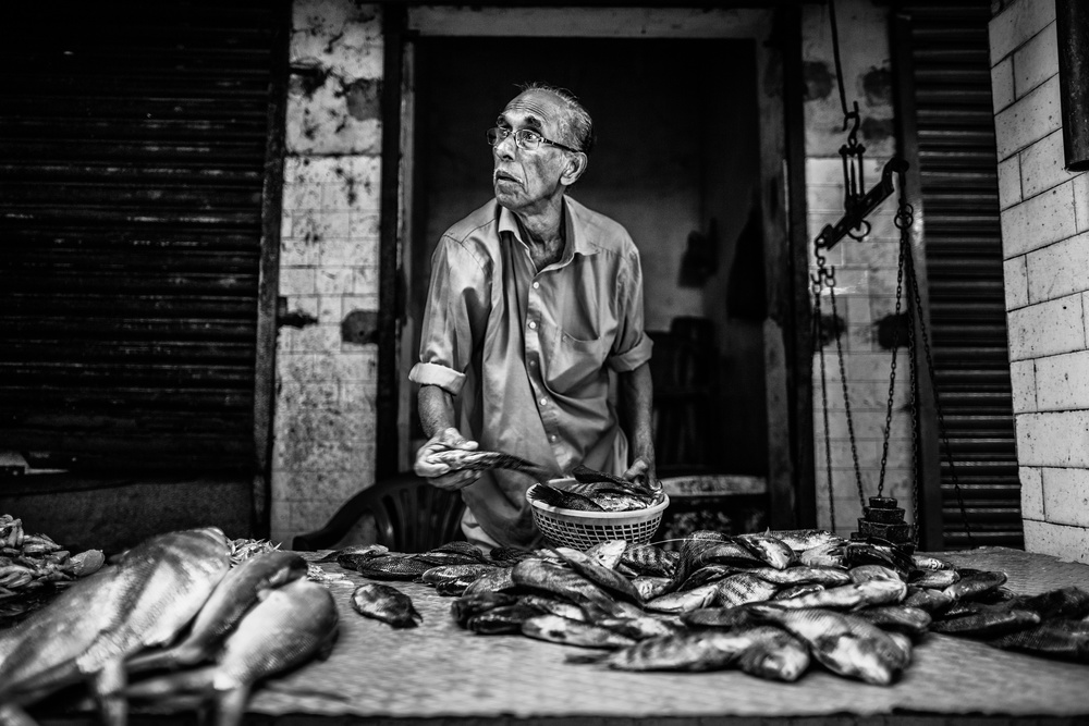The fish market à Marco Tagliarino