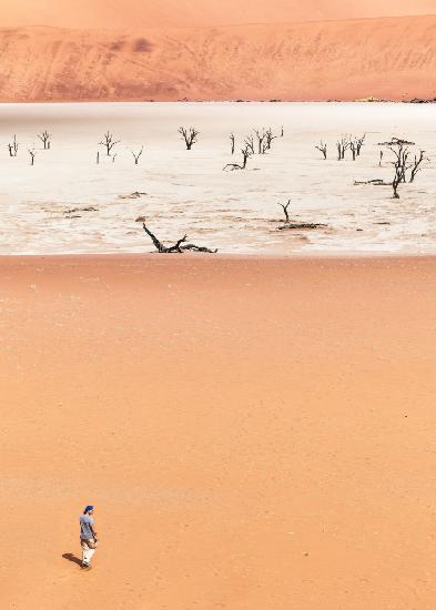 Walking in deadvlei