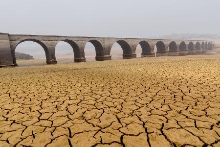 Drought landscapes