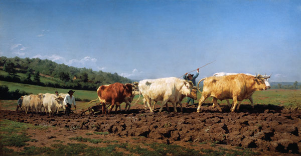 Charrues avec des boeufs dans le Nivernais. à Maria-Rosa Bonheur