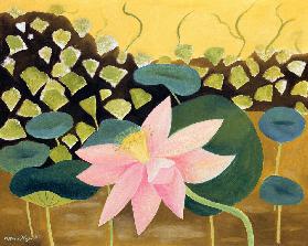 Lotus Flower, 1984 (oil on board) 