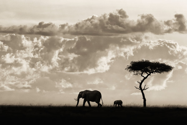 Silhouettes of Mara à Mario Moreno