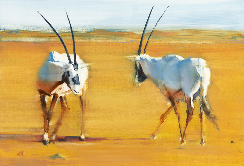 Circling Arabian Oryx à Mark  Adlington