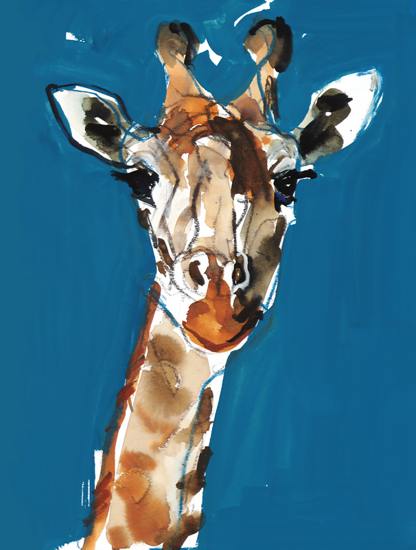 Girafe Masai à Mark  Adlington