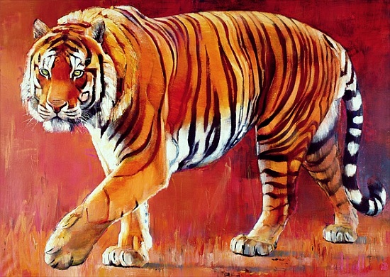 Bengal Tiger à Mark  Adlington
