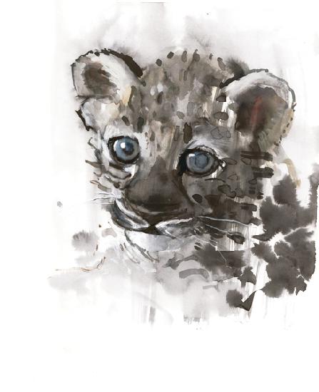Blue Eyes (Arabian Leopard Cub)