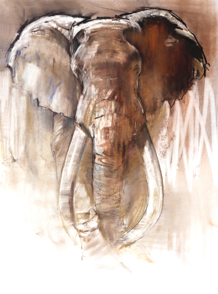 Bull Elephant à Mark  Adlington